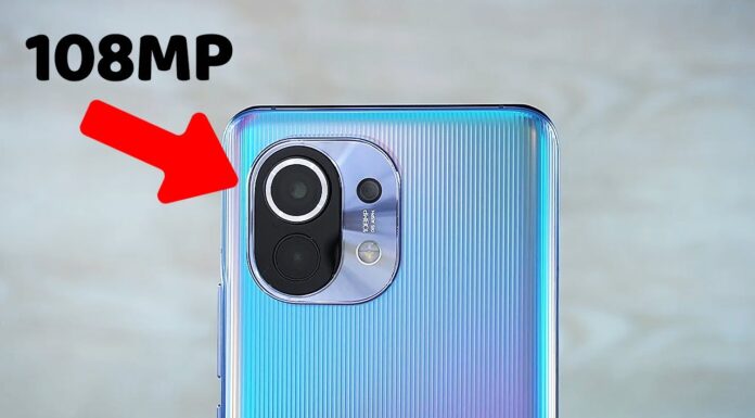 Bisa Moto Semut 🐜🐜 Xiaomi Mi 11 Camera Review 📸