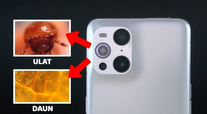 Nyobain Lensa Mikroskop 😳 Oppo Find X3 Pro ‼️test Game & Kamera