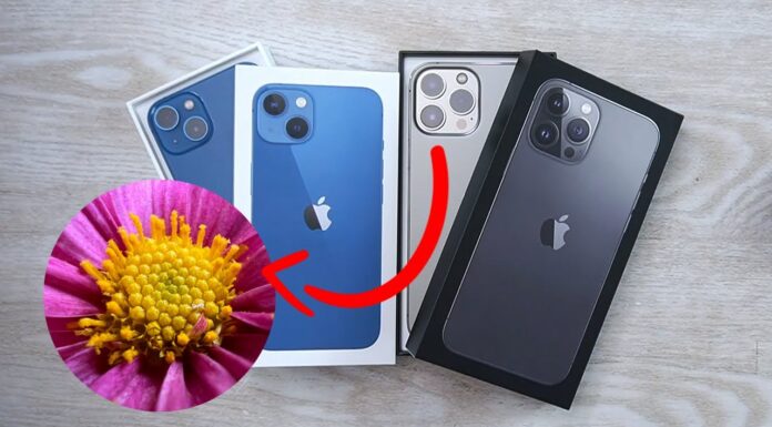 Nyobain Kamera Macro 🔍 Iphone 13 Pro Max & Unboxing Iphone 13